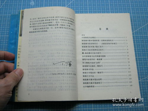 中国钢笔书法艺术与技巧