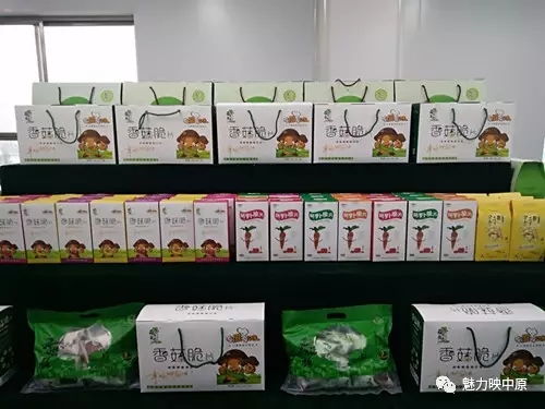 书法艺术家闫云一行临泌阳亿健食品公司观摩