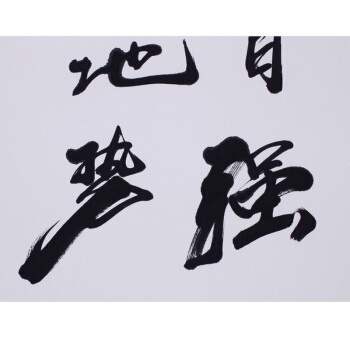 浩铭 天行健 字画书法 手写真迹 名人名家书法作品 办公室/客厅/书房 书画装饰画