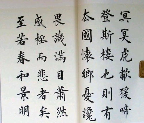 当代楷书精品,卢中南楷书 岳阳楼记 ,严谨端庄,险峻沉稳