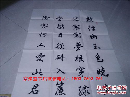 张坤圣书法 中国书法家协会会员精品真迹书法作品一大幅 69 137