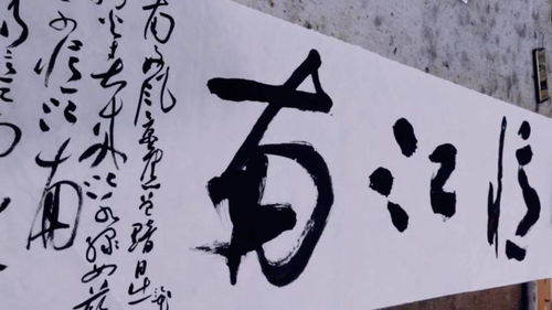 书法 草书,白居易诗一首